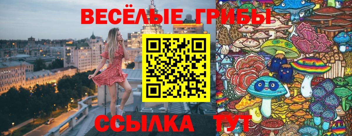 Галлюциногенные грибы прущие грибы  Вход с VPN  Малгобек 