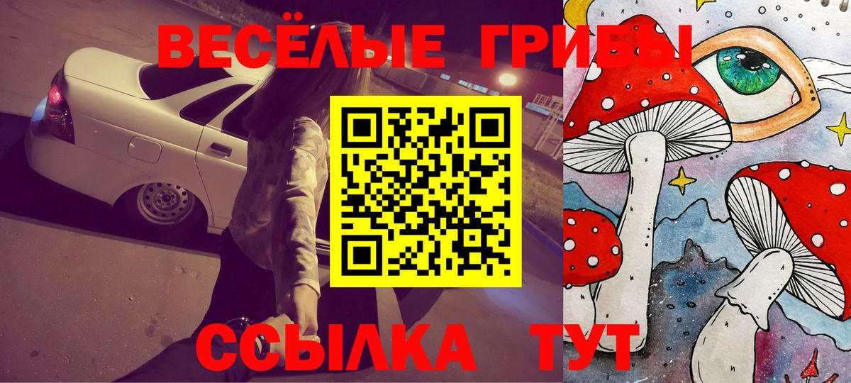 Галлюциногенные грибы Magic Shrooms Малгобек